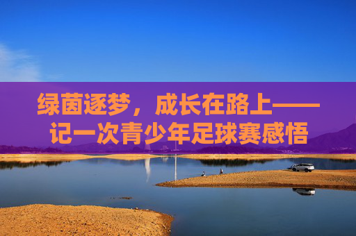 绿茵逐梦,成长在路上——记一次青少年足球赛感悟