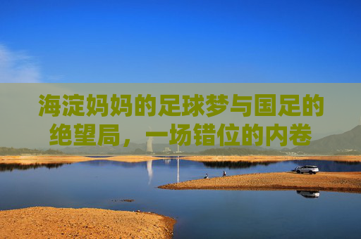 海淀妈妈的足球梦与国足的绝望局,一场错位的内卷