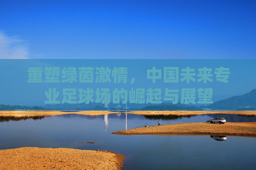重塑绿茵激情，中国未来专业足球场的崛起与展望