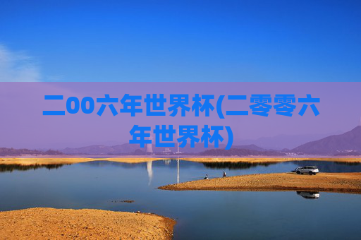 二00六年世界杯(二零零六年世界杯)