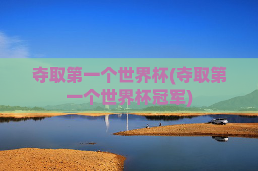 夺取第一个世界杯(夺取第一个世界杯冠军)