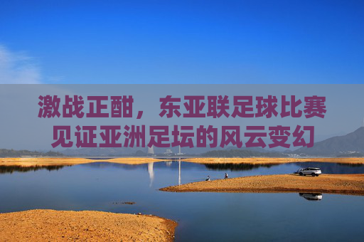 激战正酣,东亚联足球比赛见证亚洲足坛的风云变幻