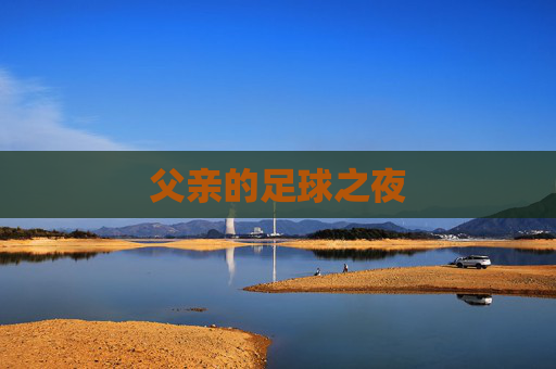 父亲的足球之夜