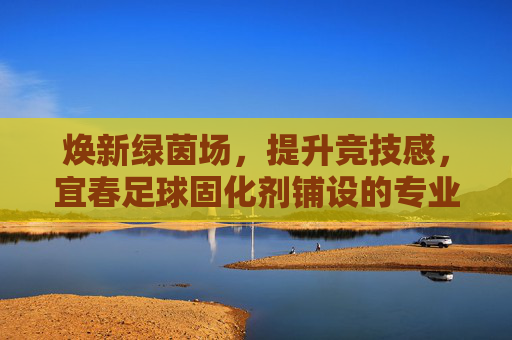 焕新绿茵场,提升竞技感,宜春足球固化剂铺设的专业解析