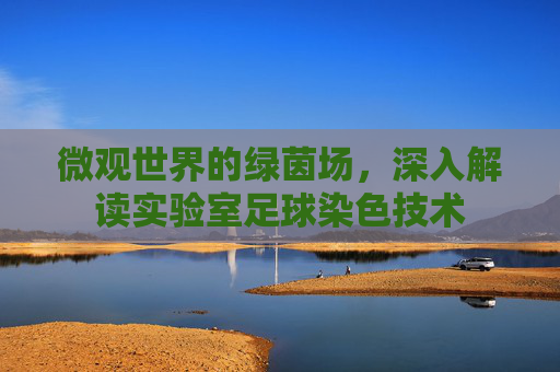 微观世界的绿茵场,深入解读实验室足球染色技术