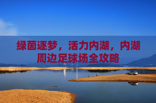 绿茵逐梦,活力内湖,内湖周边足球场全攻略