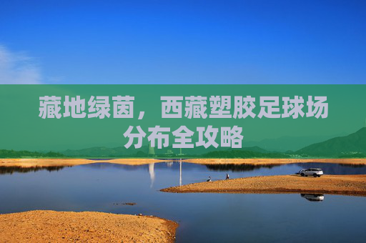 藏地绿茵,西藏塑胶足球场分布全攻略