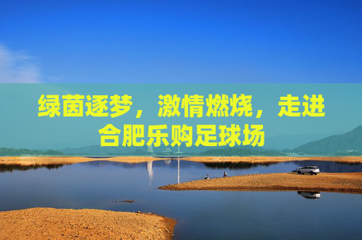 绿茵逐梦,激情燃烧,走进合肥乐购足球场