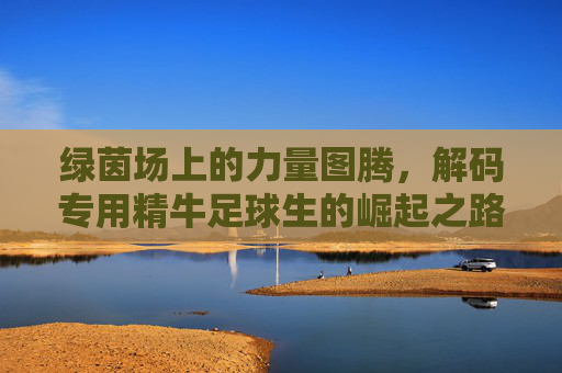 绿茵场上的力量图腾，解码专用精牛足球生的崛起之路