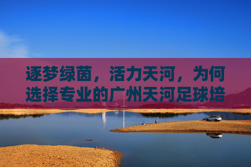 逐梦绿茵,活力天河,为何选择专业的广州天河足球培训?
