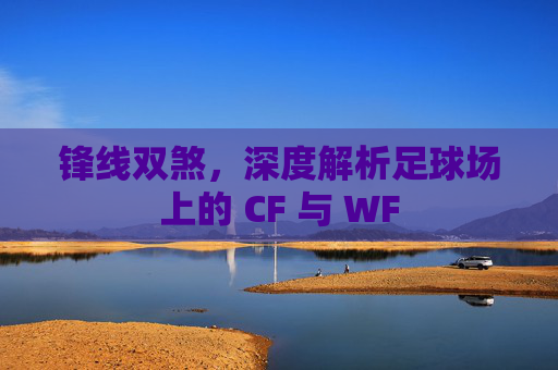 锋线双煞,深度解析足球场上的 CF 与 WF