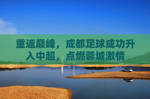 重返巅峰,成都足球成功升入中超,点燃蓉城激情