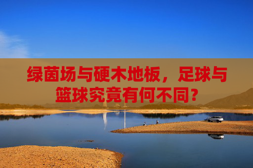 绿茵场与硬木地板,足球与篮球究竟有何不同?
