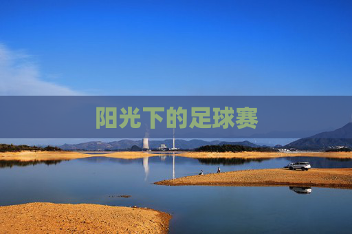 阳光下的足球赛