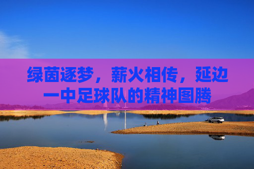 绿茵逐梦,薪火相传,延边一中足球队的精神图腾