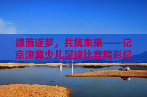 绿茵逐梦,共筑未来——记京津冀少儿足球比赛精彩纪实