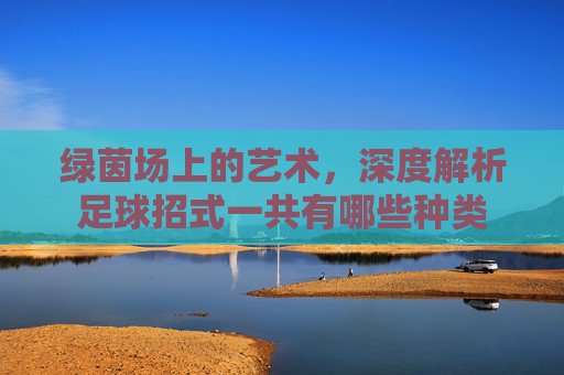 绿茵场上的艺术,深度解析足球招式一共有哪些种类