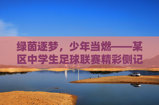 绿茵逐梦,少年当燃——某区中学生足球联赛精彩侧记