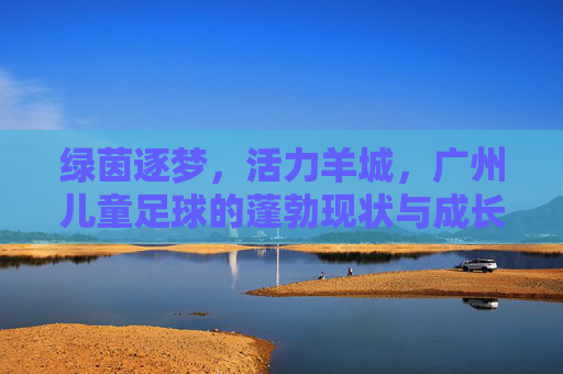 绿茵逐梦,活力羊城,广州儿童足球的蓬勃现状与成长力量