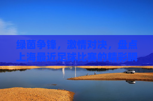 绿茵争锋,激情对决,盘点上海最近足球比赛的精彩瞬间