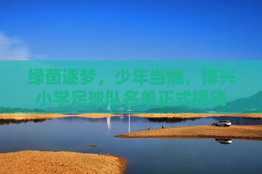 绿茵逐梦,少年当燃,博兴小学足球队名单正式揭晓