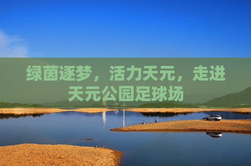 绿茵逐梦,活力天元,走进天元公园足球场