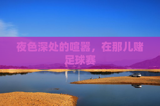 夜色深处的喧嚣，在那儿赌足球赛