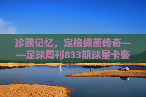 珍藏记忆,定格绿茵传奇——足球周刊833期球星卡鉴赏