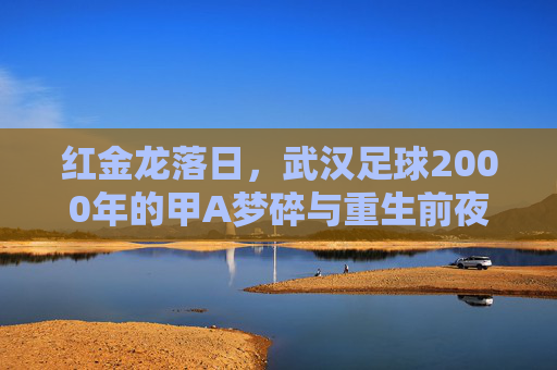 红金龙落日，武汉足球2000年的甲A梦碎与重生前夜