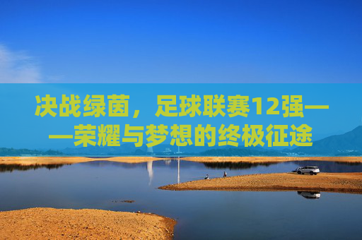 决战绿茵,足球联赛12强——荣耀与梦想的终极征途