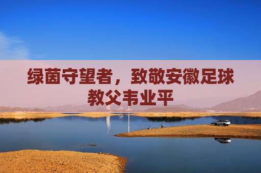 绿茵守望者，致敬安徽足球教父韦业平
