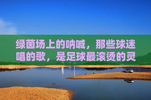绿茵场上的呐喊，那些球迷唱的歌，是足球最滚烫的灵魂