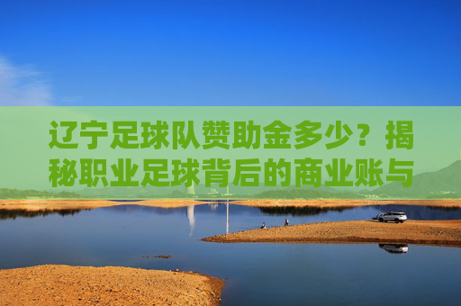 辽宁足球队赞助金多少?揭秘职业足球背后的商业账与复兴之路