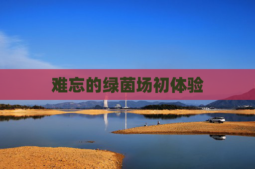 难忘的绿茵场初体验