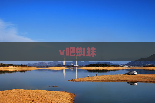 v吧蜘蛛