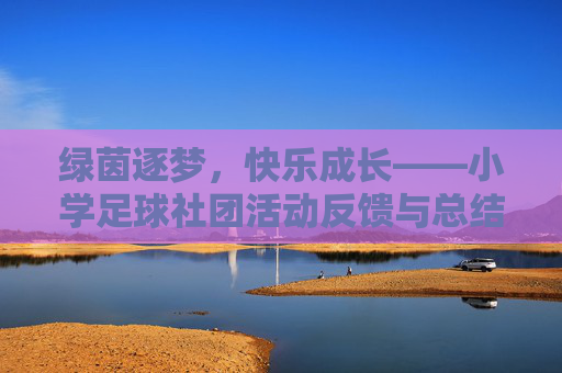 绿茵逐梦，快乐成长——小学足球社团活动反馈与总结