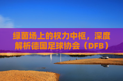绿茵场上的权力中枢,深度解析德国足球协会(DFB)