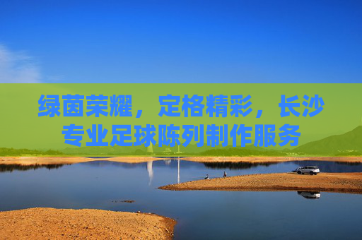 绿茵荣耀，定格精彩，长沙专业足球陈列制作服务