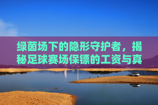 绿茵场下的隐形守护者,揭秘足球赛场保镖的工资与真相
