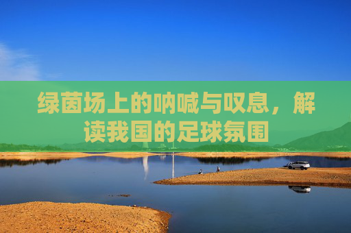 绿茵场上的呐喊与叹息,解读我国的足球氛围