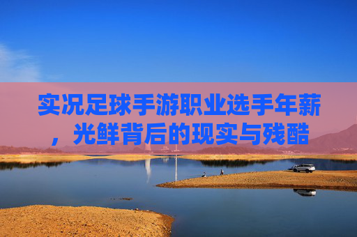 实况足球手游职业选手年薪,光鲜背后的现实与残酷