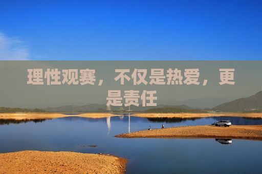 理性观赛,不仅是热爱,更是责任
