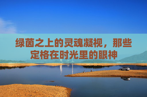 绿茵之上的灵魂凝视,那些定格在时光里的眼神