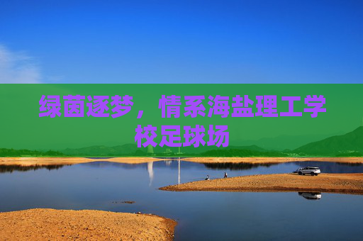 绿茵逐梦,情系海盐理工学校足球场