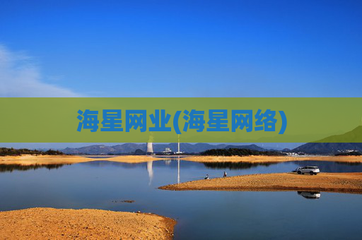 海星网业(海星网络)