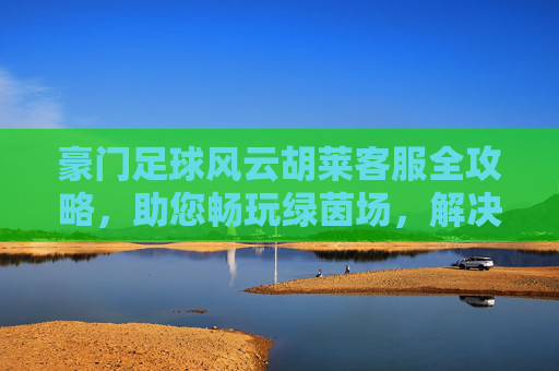 豪门足球风云胡莱客服全攻略,助您畅玩绿茵场,解决游戏难题