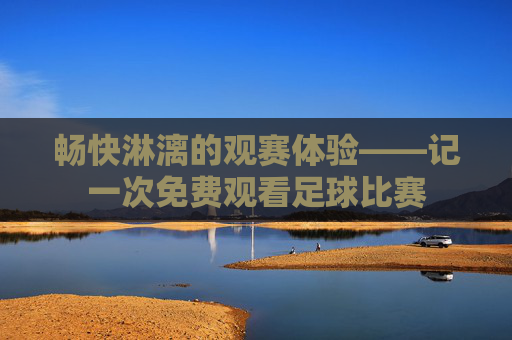 畅快淋漓的观赛体验——记一次免费观看足球比赛