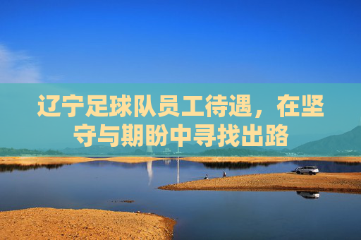 辽宁足球队员工待遇,在坚守与期盼中寻找出路