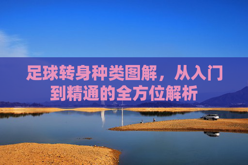 足球转身种类图解，从入门到精通的全方位解析