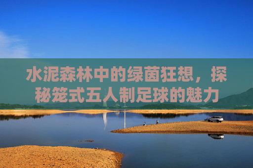 水泥森林中的绿茵狂想，探秘笼式五人制足球的魅力